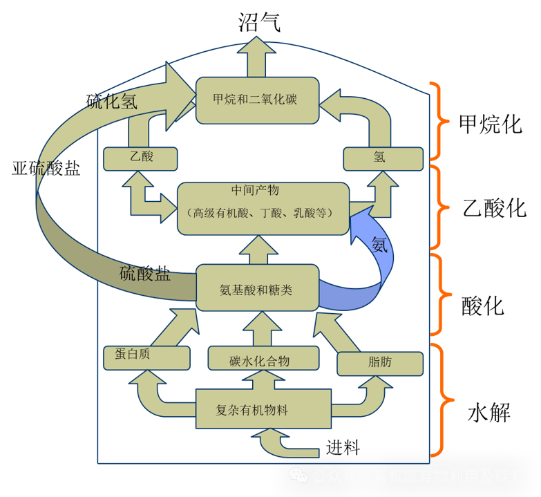 b803d137e2384518f87c01c7acae47be.png